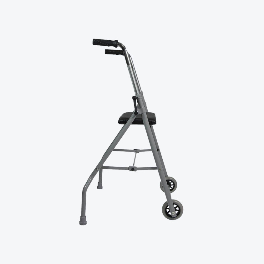 Rollator 2 roues - LONDRES